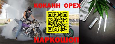 крисы Новодвинск