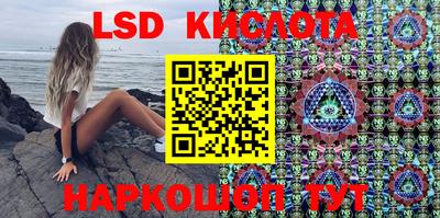 крисы Новодвинск