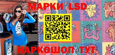 крисы Новодвинск