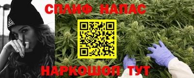 крисы Новодвинск