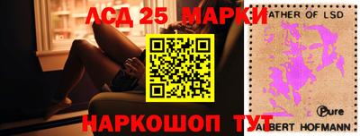 крисы Новодвинск