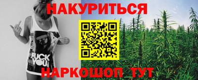 крисы Новодвинск