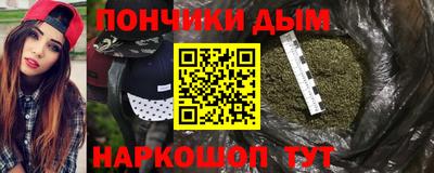 крисы Новодвинск