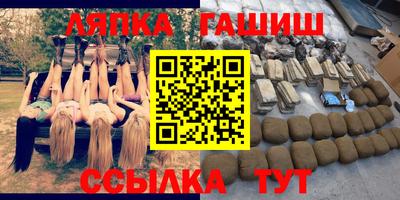 крисы Новодвинск