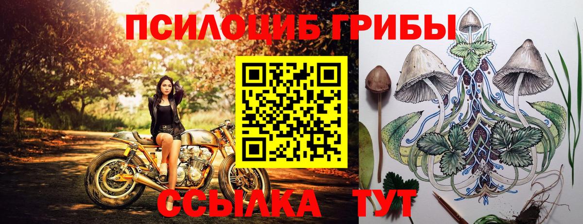 Галлюциногенные грибы MAGIC MUSHROOMS Омск
