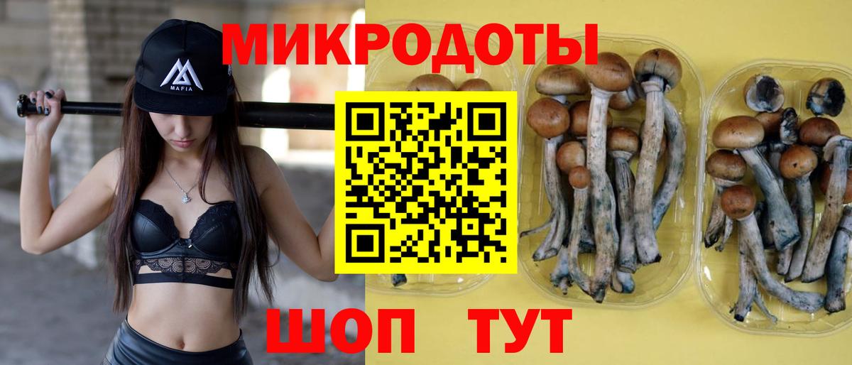 Омск  Псилоцибиновые грибы мухоморы  Псилоцибиновые грибы Psilocybe  Вход с VPN 